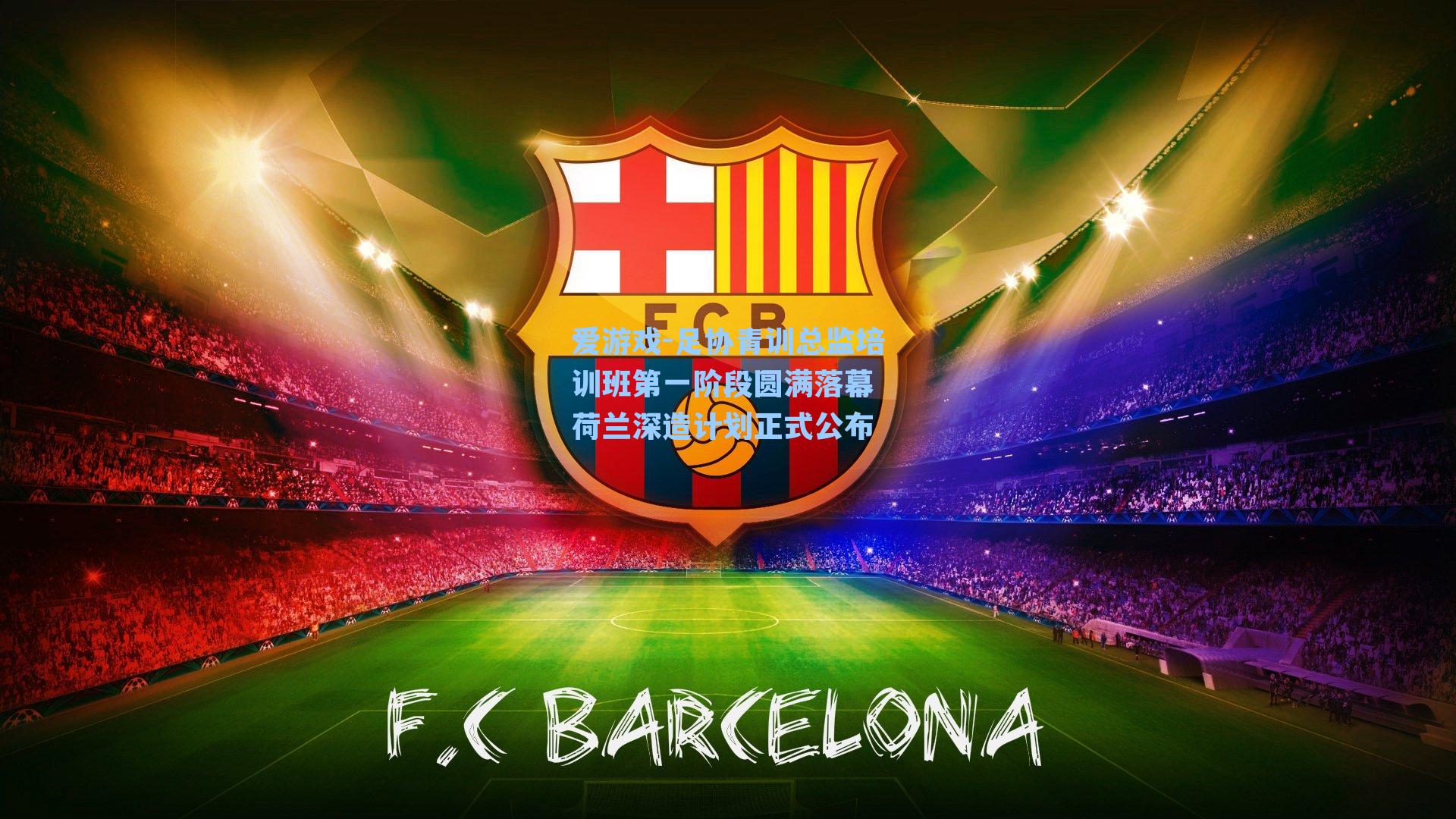 爱游戏-足协青训总监培训班第一阶段圆满落幕 荷兰深造计划正式公布