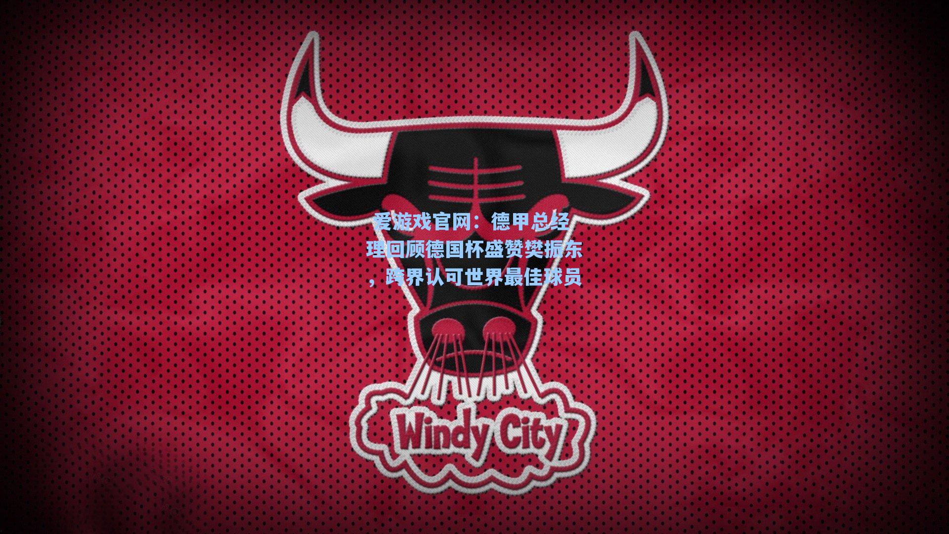  爱游戏官网：德甲总经理回顾德国杯盛赞樊振东，跨界认可世界最佳球员